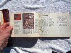 RUSSIAN HOLIDAYS English Reader Skolko prazdnikov v godu? Rudenko Russky Yazyk