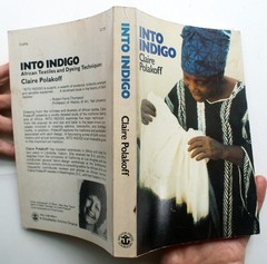 INTO INDIGO by Claire Polakoff 1st Ed 1st Printing Anchor Press Doubleday [420]