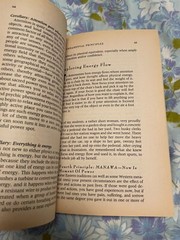 BOOK Urban Shaman SERGE KAHILI KING PH D Handbook Transformation Hawiian Way pb