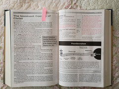 NKJV Tim LaHaye Prophecy Study Bible
