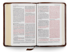 Holy Bible : ESV Compact Bible TruTone, Brown, Red Letter Edition