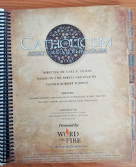 Word on Fire Catholicism Study Guide & Workbook Second Edition by Carl E. Olson