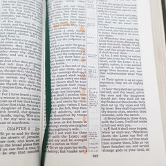 Rare Kenneth Hagin Ministries Rhema KJV Study Bible Calfskin Green by Cambridge