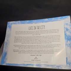 Galison Cats in the City 1000 Piece Puzzle M Storrings Reference Poster Sealed