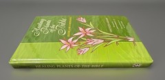 Healing Plants of the Bible HC – History Lore Meditations Spiritual Herbal Guide