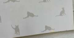 The Complete Cat Book by Paddy Cutts 1999 Barnes & Noble