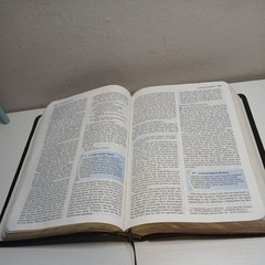 Student Bible NIV Philip Yancey Tim Stafford 2002 Bonded Leather Zondervan