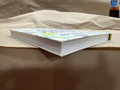 Kate Bowler – Have a Beautiful, Terrible Day! Hardcover SEE DESCRIPTION