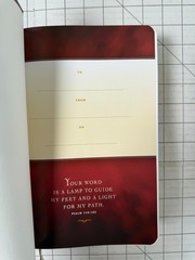 NLT Study Bible New Living Translation TuTone Brown & Tan LeatherLike Boxed EUC