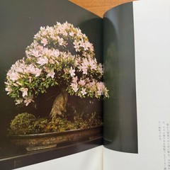 Satsuki Bonsai Photo Book Japan Satsuki Culture Promotion Hardcover 312pg Used