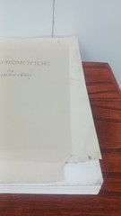 Screenplay Esclarmonde By S W Garland