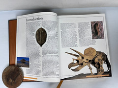 RARE „The Illustrated Encyclopedia of the Prehistoric World” 512 Pgs 9 X 11.5″