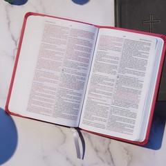 KJV Holy Bible: Value Compact Thinline, Brown Leathersoft, Red Letter, Comfort