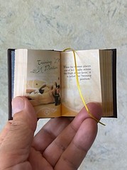 new 2022 miniature book 2.5″ The Kama Sutra illustrated color 439 pg Hardcover