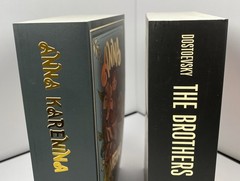 Anna Karenina, The Brothers Karamazov Russian Classics Lot Gift Set Paperback