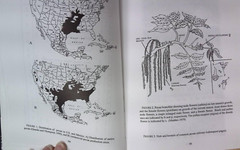 A guide to Nut Tree Culture in North America vol. 1