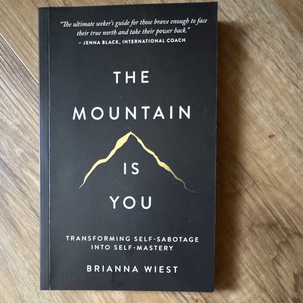 Thought Catalog Books The Mountain Is You by Brianna Wiest Paperback Self-Help