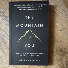 Thought Catalog Books The Mountain Is You by Brianna Wiest Paperback Self-Help