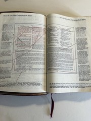 Christian Life Bible Burgundy Genuine Leather Leather NKJV
