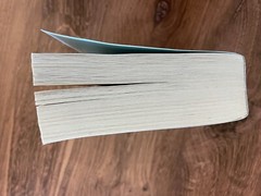 The Nightingale: A Novel – Paperback Book Hannah, Kristin – VERY GOOD Condition