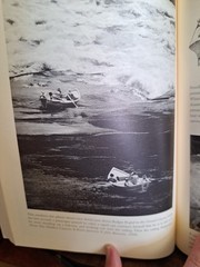Down the Great Unknown by Dolnick, 1st/1st No DJ Free Shipping