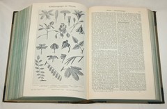 ANTIQUE BOOK Meyers Konversations-Lexikon ENCYCLOPEDIA Vol. 24 1911-1912 Germany