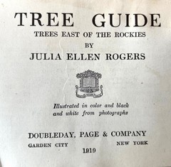 Antique Forestry Tree Identification Botany Nature Study 4 Book Lot 1919-1925
