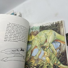 Dinosaur Hardcover Books 1991 Janet Riehecky The Child’s World Series 18 Books
