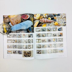 Beach Combing 10 Magazines Volumes 28 to 31 2022 & 35 to 40 2023 and 2024