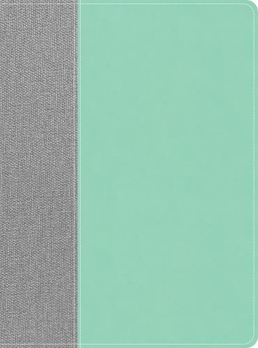 CSB Lifeway Women’s Bible, Gray/Mint LeatherTouch, Indexed – Lifeway Women