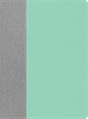 CSB Lifeway Women’s Bible, Gray/Mint LeatherTouch, Indexed – Lifeway Women