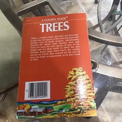 A Golden Guide To Trees Booklet By Zim/Martin 160 Pages 1952