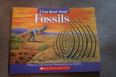 Fossils