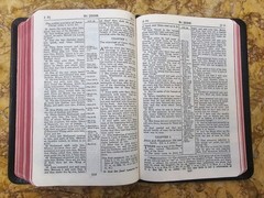 KJV Scofield Reference Bible Marrakesh Persian Morocco Leather VERY GOOD L@@K🌟