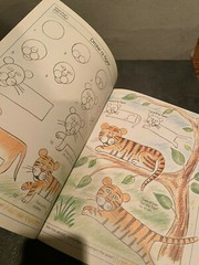 What Shall I Draw (What Shall I Do Today) – Paperback By Ray Gibson