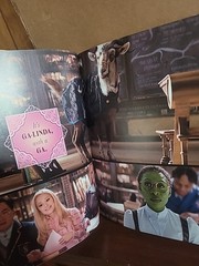 WICKED: The Official Visual Companion Target Exclusive (Hardcover) New Other