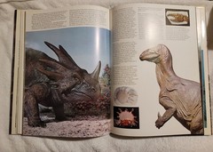 Prehistoric Animals The Extraordinary Story Of Life Before Man – Ellis Owen 1975