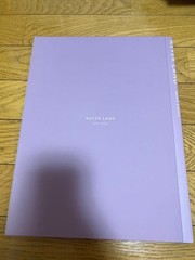 Amuro Namie Photo Book NEVER LAND Light Purple Concert Tour Memorabilia
