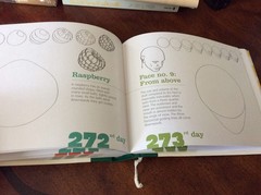 365 DAYS OF DRAWING By Lise Herzog – Hardcover Like New