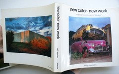 NEW COLOR/NEW WORK, THE NEW COLOR, Sally Eauclaire Abbeville Press 1st Ed. [368]