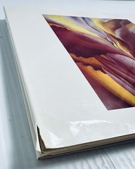 Georgia O Keeffe Art and Life Castro Book with 136 Color Illustrations Edition