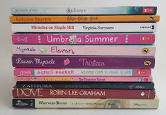 Lot of 19 Paperback Chapter Books For Young Teen Boys /Girls B73
