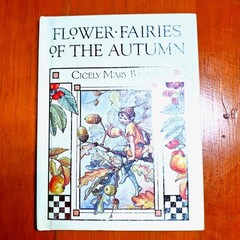 Flower Fairies of the Autumn Cicely Mary Barker 4×6″ Beautiful Art Color Plates