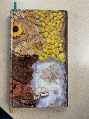 Only Revolutions by Mark Z. Danielewski Pre-Publication w/ Different Boards LN