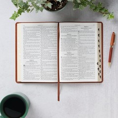 The Holy Bible King James Version LARGE PRINT Thumb Indexed Edition / TAN Faux L
