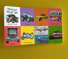 First 100 Ser.: First 100 Words : A Padded Board Book by Roger Priddy (2011,…