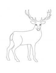 Deers 4-Kids Activity ColorBook 108 Pages 8.5 x 11 for All Ages