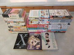 BIG Lot of (42) MANGA ANIME Cartoon Comic Books Assorted Authors Mixed Series