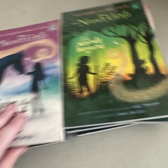 Disney THE NEVER GIRLS Book Lot #1-4, 6-12 By Kiki Thorpe Paperback Pb