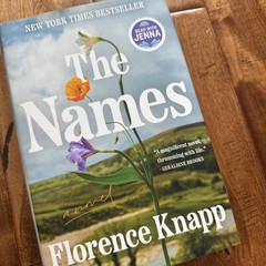 The Names A Novel – VERY GOOD